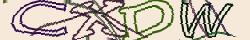 Retype the CAPTCHA code from the image